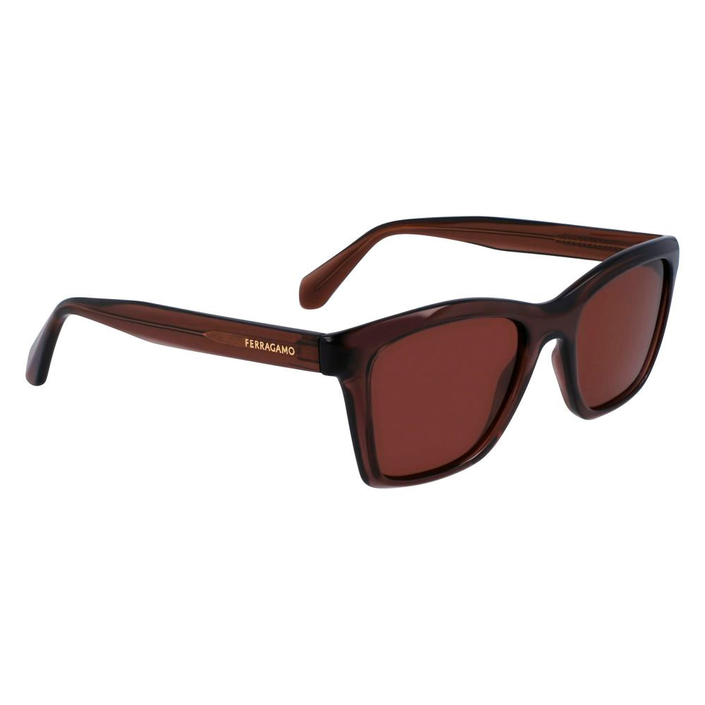 Ferragamo Brown Injected Sunglasses
