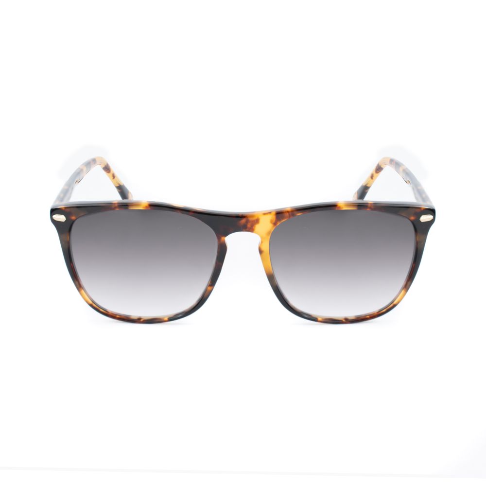 Belstaff Brown Acetate Sunglasses