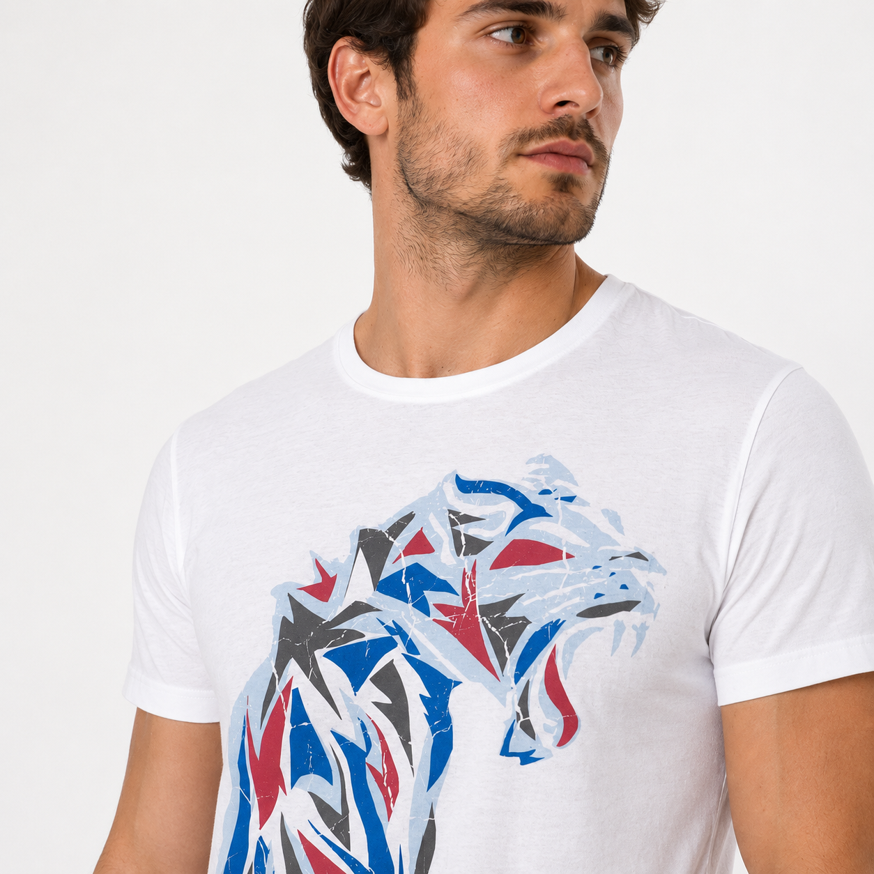 Absolut Joy Men T-shirt