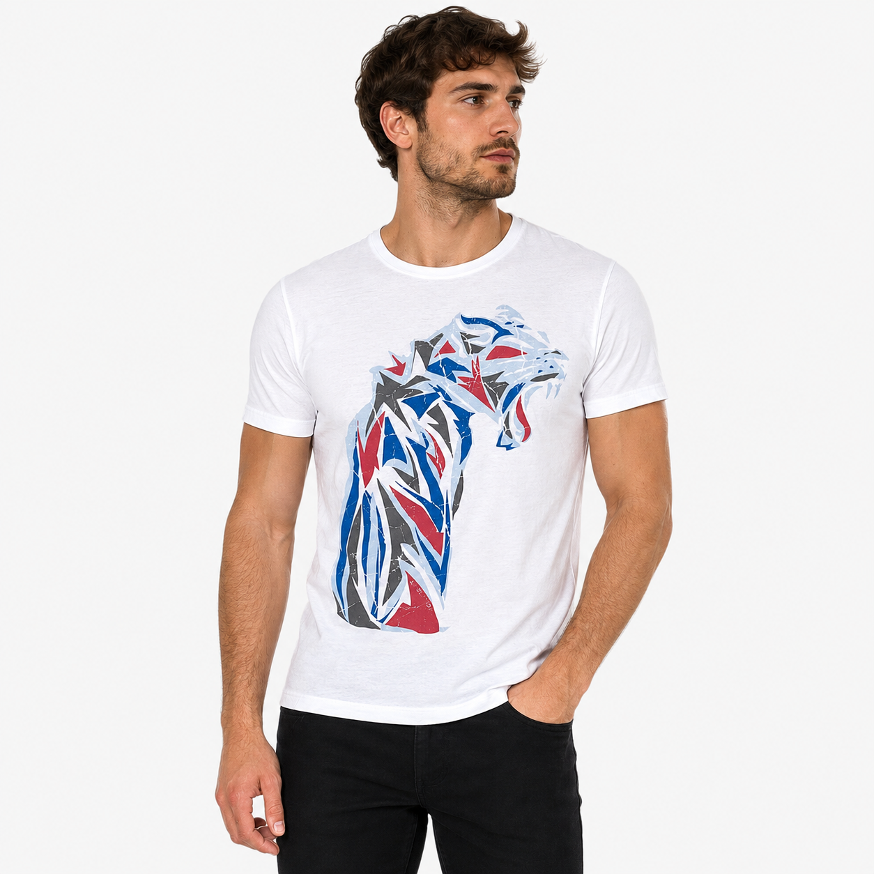 Absolut Joy Men T-shirt