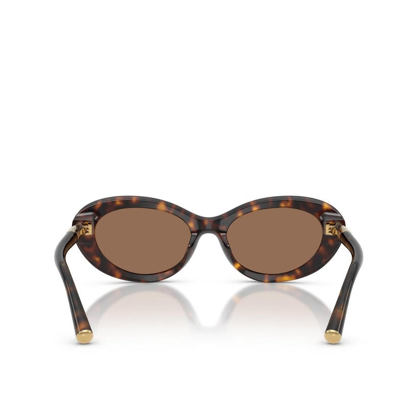 Dolce & Gabbana Women Sunglasses