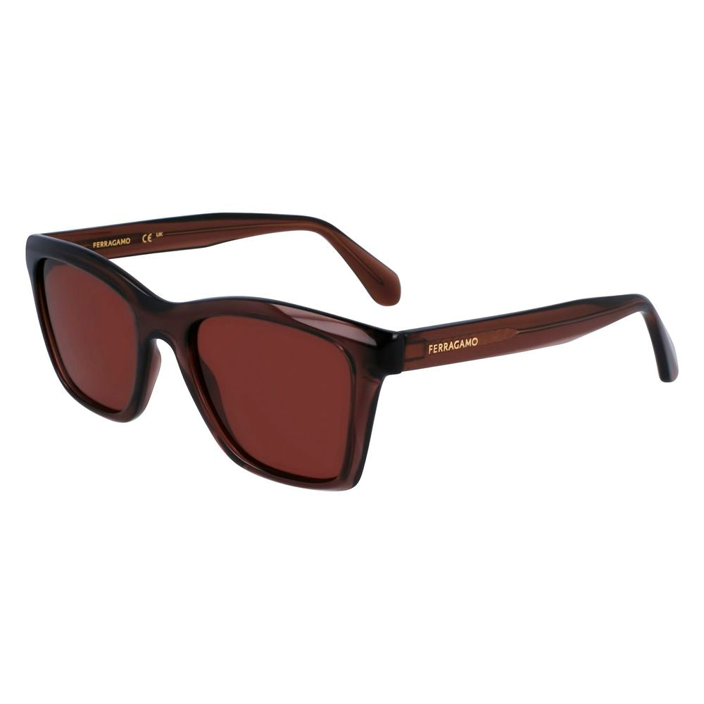 Ferragamo Brown Injected Sunglasses