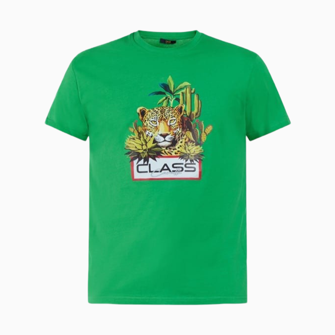 Мъжка зелена тениска Cavalli Class CLL2MTS04