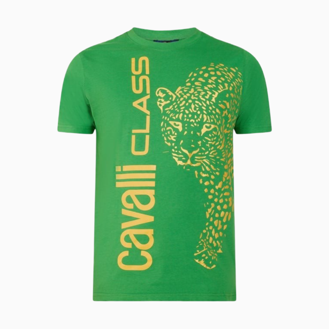 Мъжка зелена тениска Cavalli Class QXT62R JD060 VERDE