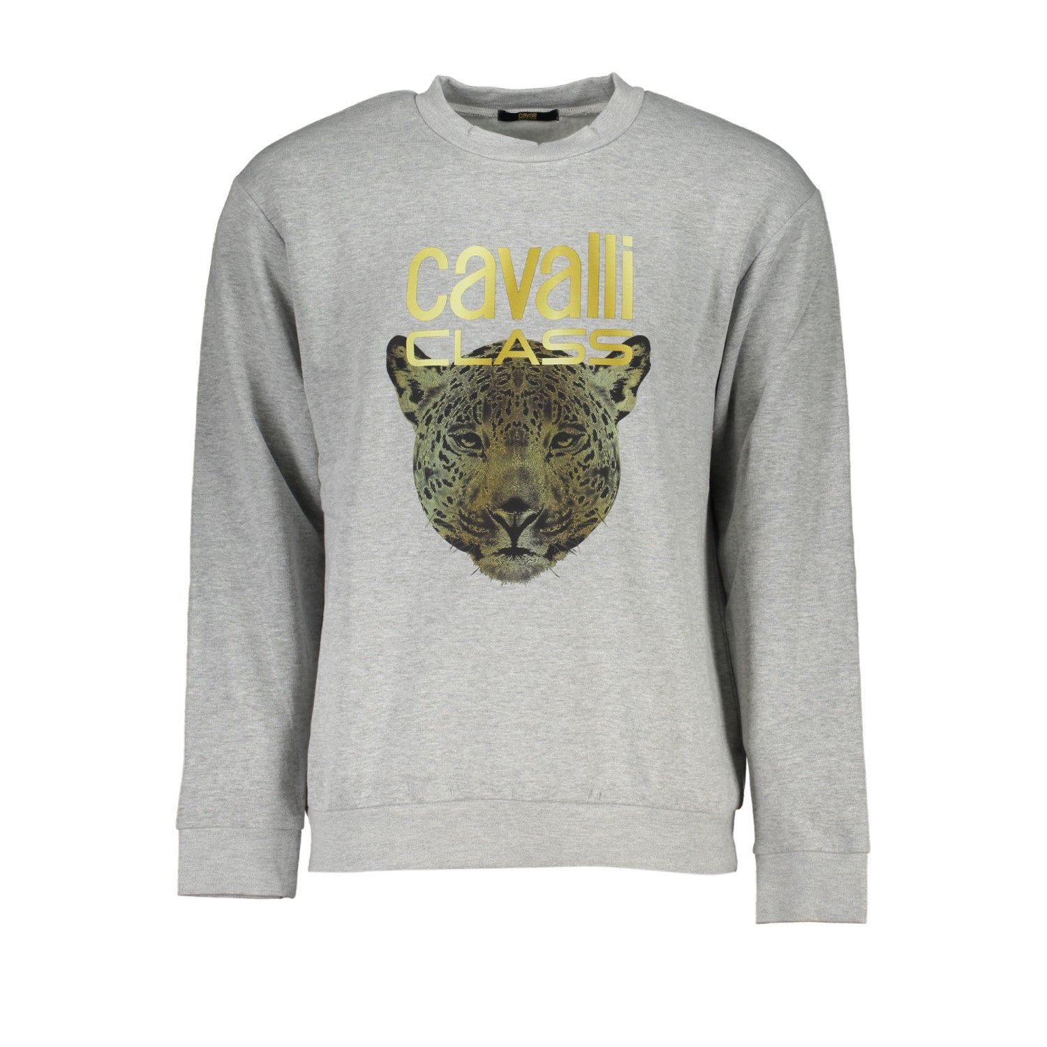 Суичър Cavalli Class