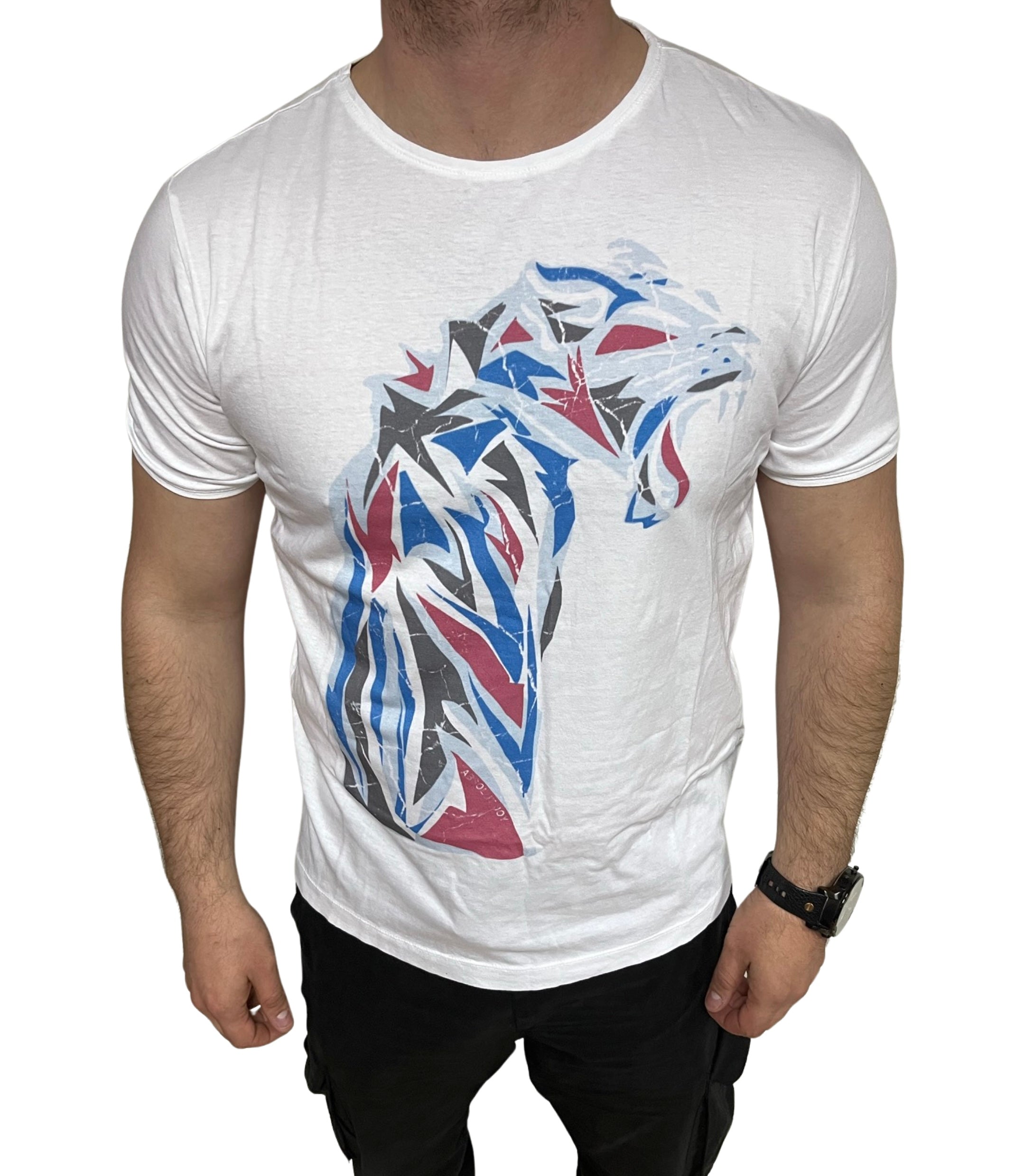 Absolut Joy t-shirt