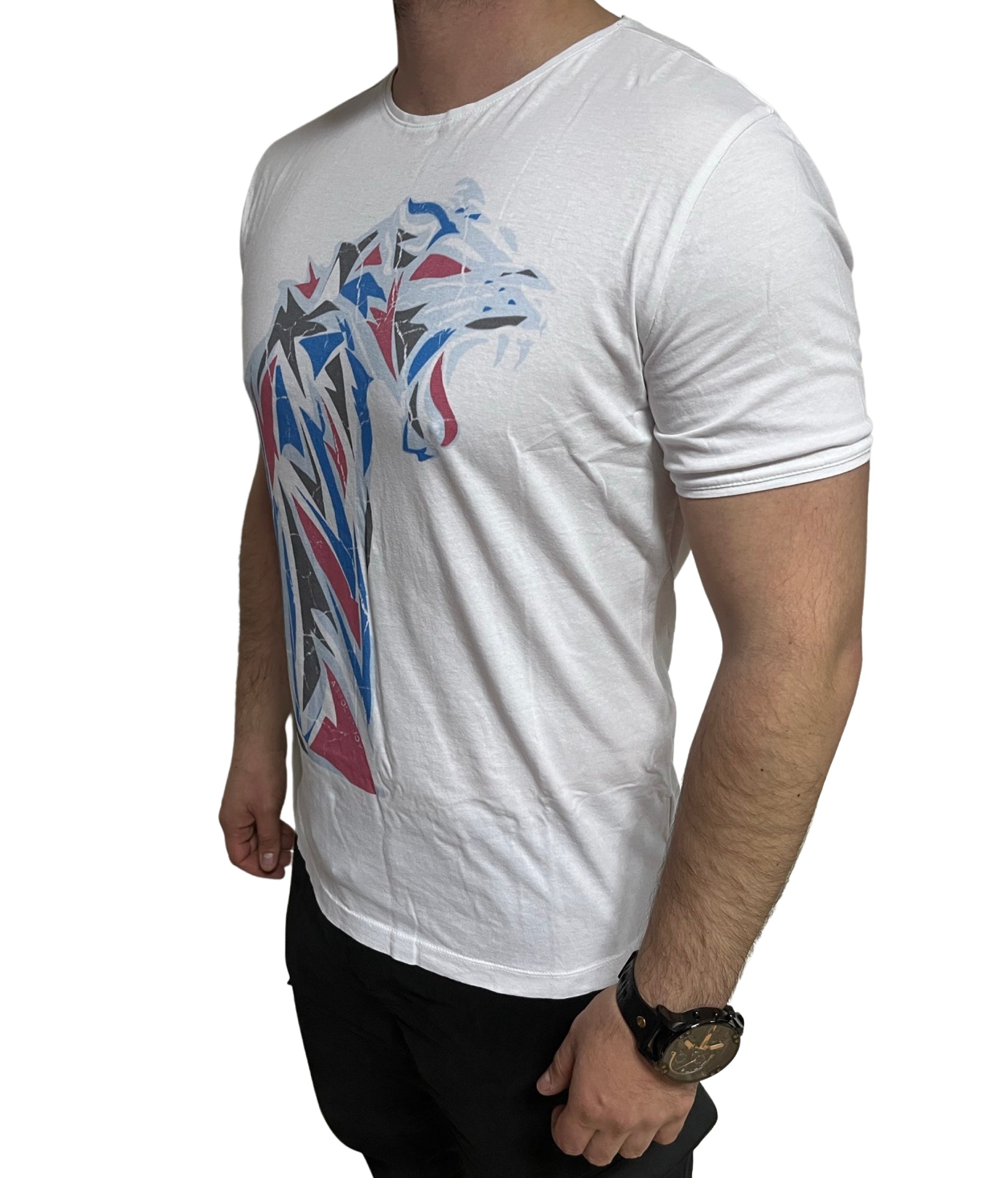 Absolut Joy t-shirt