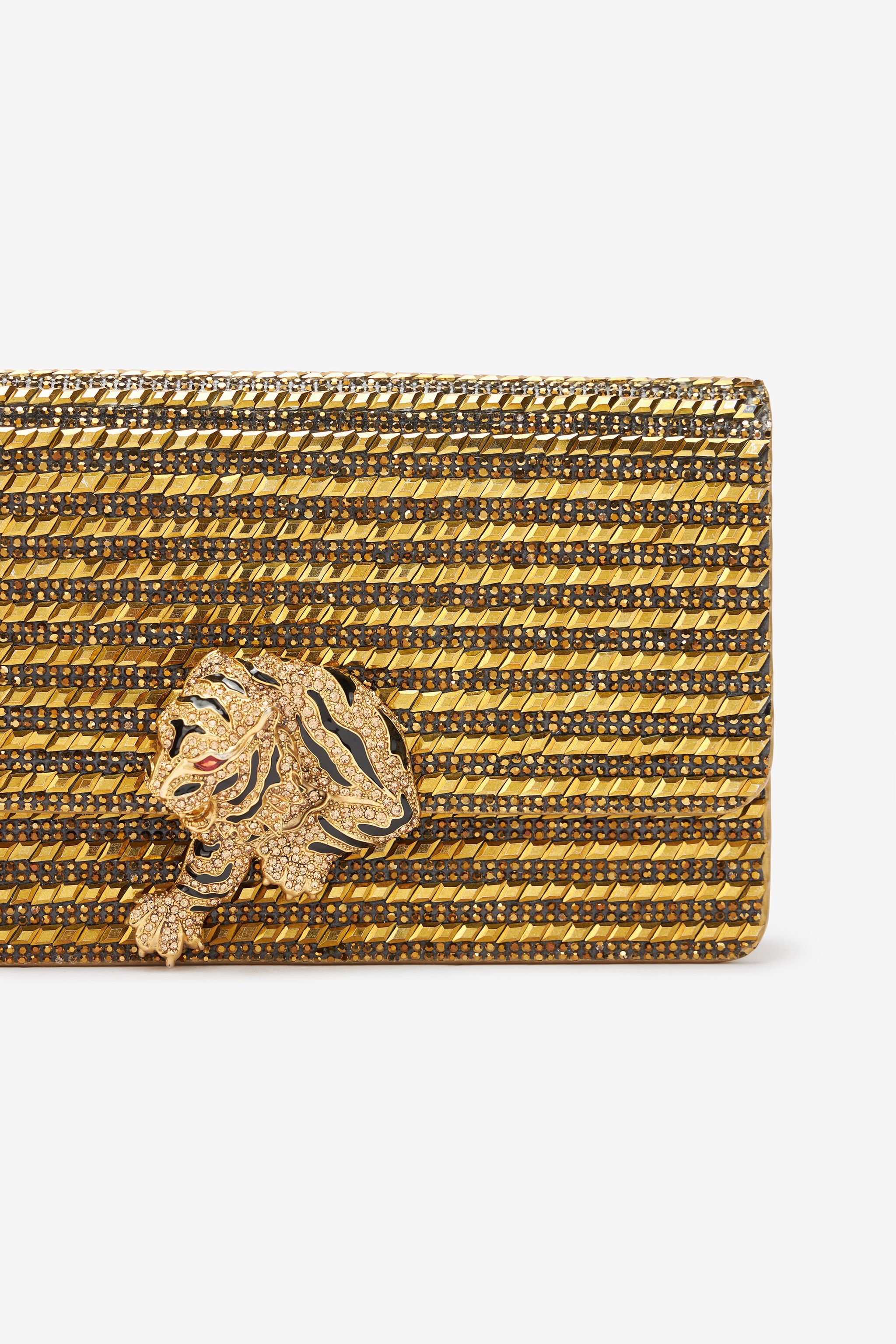 Дамска чанта Women’s clutch bag Roberto Cavalli TKB010 PZC98 00139 Golden detail view