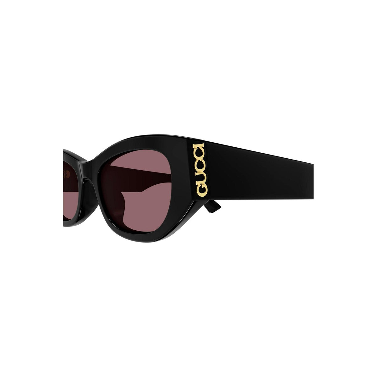 Gucci  Women Sunglasses