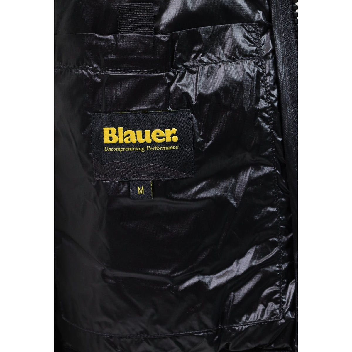 Blauer. Men Blazer
