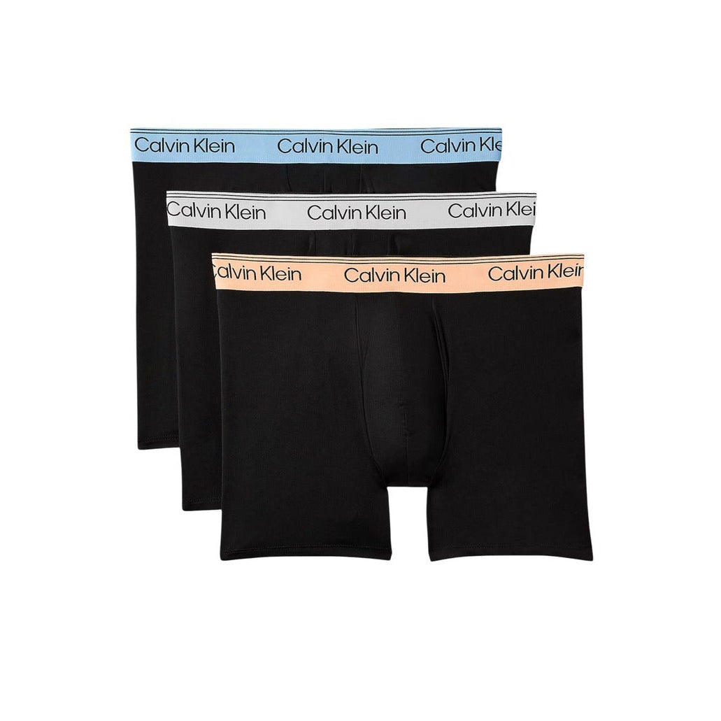 Мъжки боксерки Calvin Klein Men 3-pack Boxers LV00NB4410 3ZZ Front View