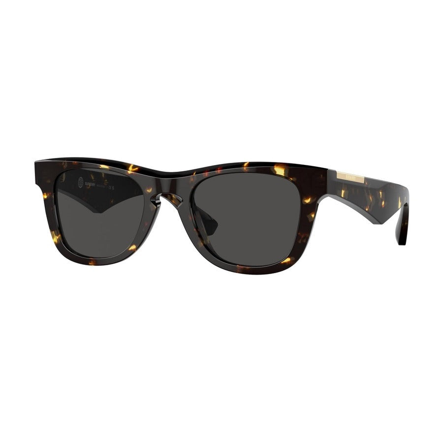 Burberry Men Sunglasses