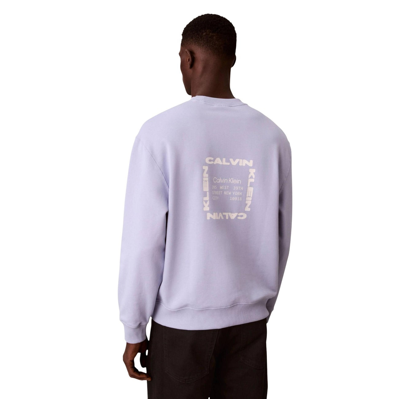 Мъжка лилава блуза Calvin Klein Jeans Men Sweatshirt LV04RE254G Back View