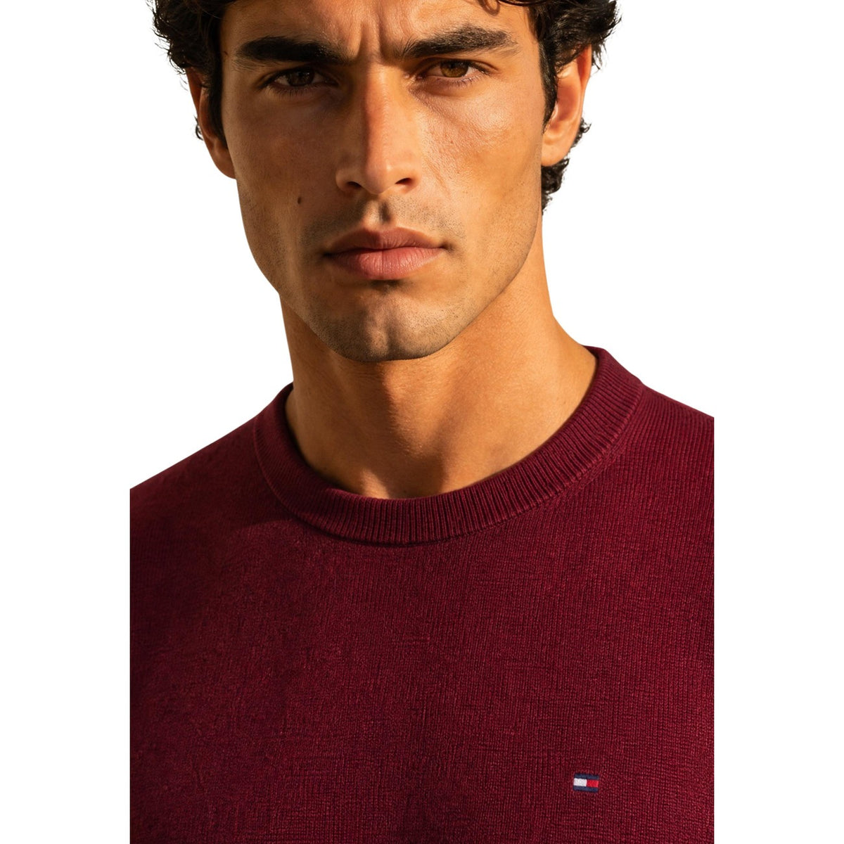 Tommy Hilfiger Men Knitwear